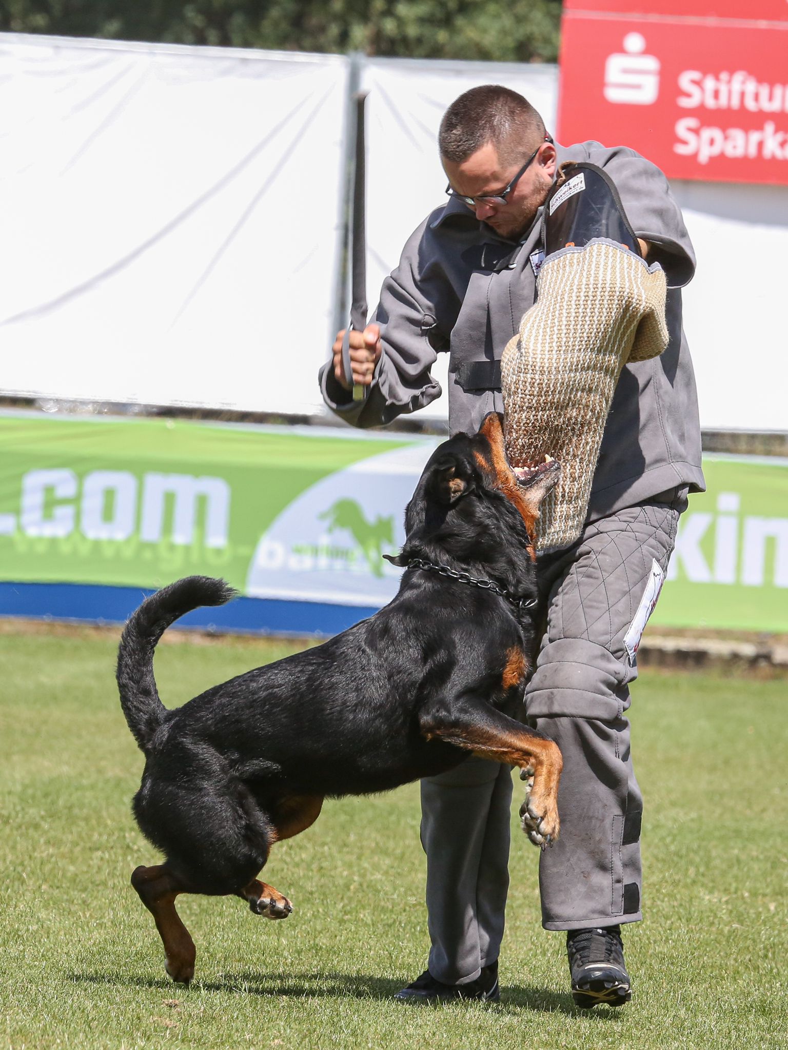 54ed184a-eb80-4f1e-a08f-89485a4a37cf