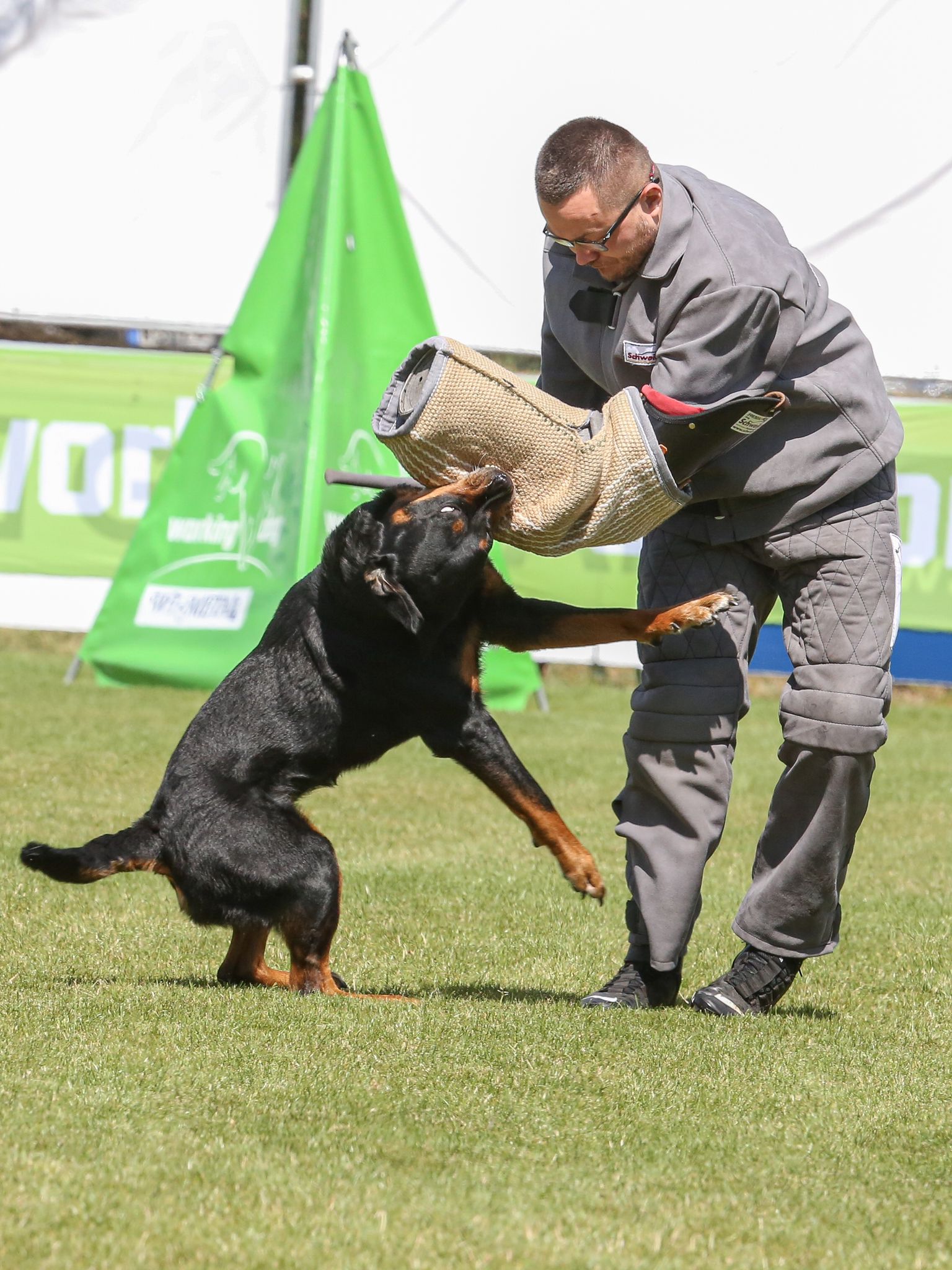 fa2eef84-b792-44aa-b67f-8f82aba691ae