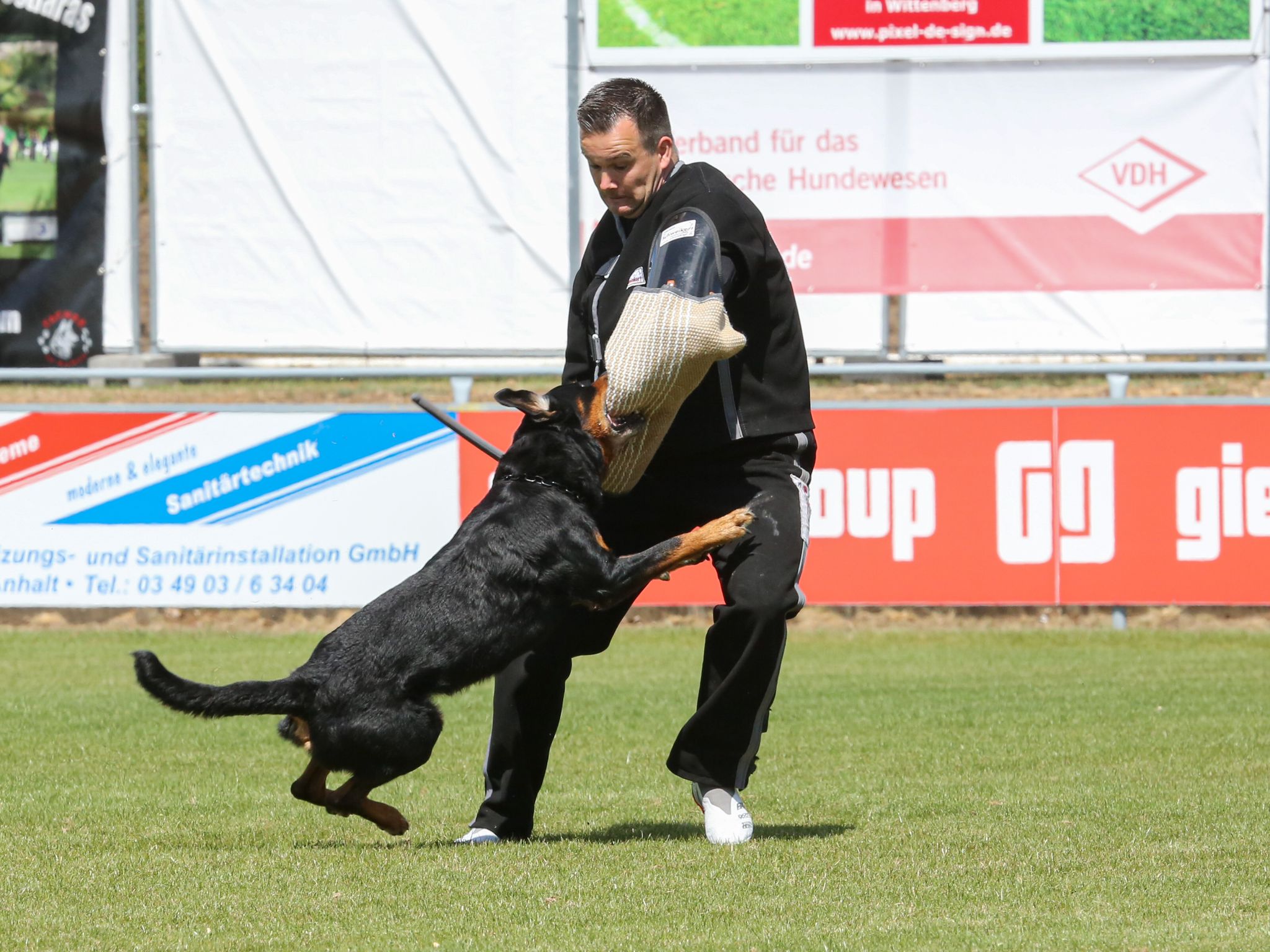 fe05d373-e717-4803-a238-e91cf181188a