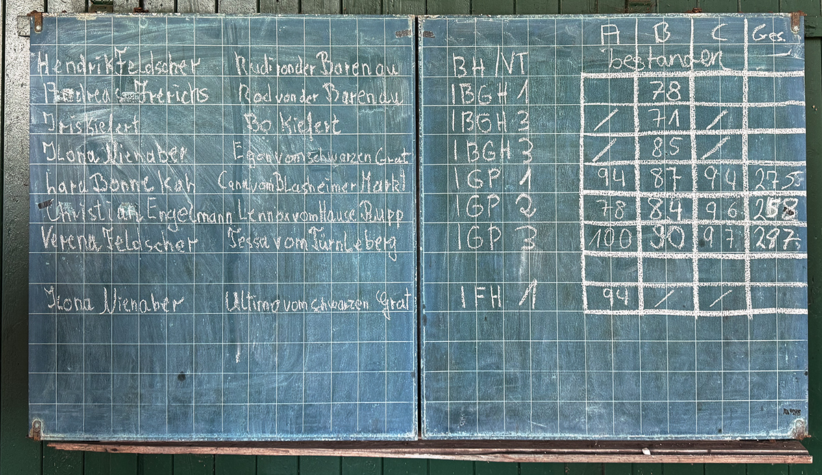 Am 18.10.2025 fand bei uns eine Qualiprüfung statt, die alle Teilnehmer erfolgreich bestanden. Leistungsrichter: Christian Wulff.